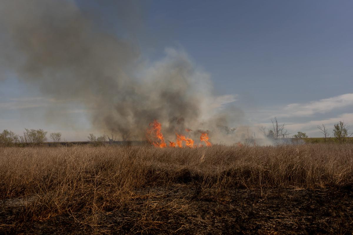 Wildfires Devastate Wetlands Of The Parana Delta