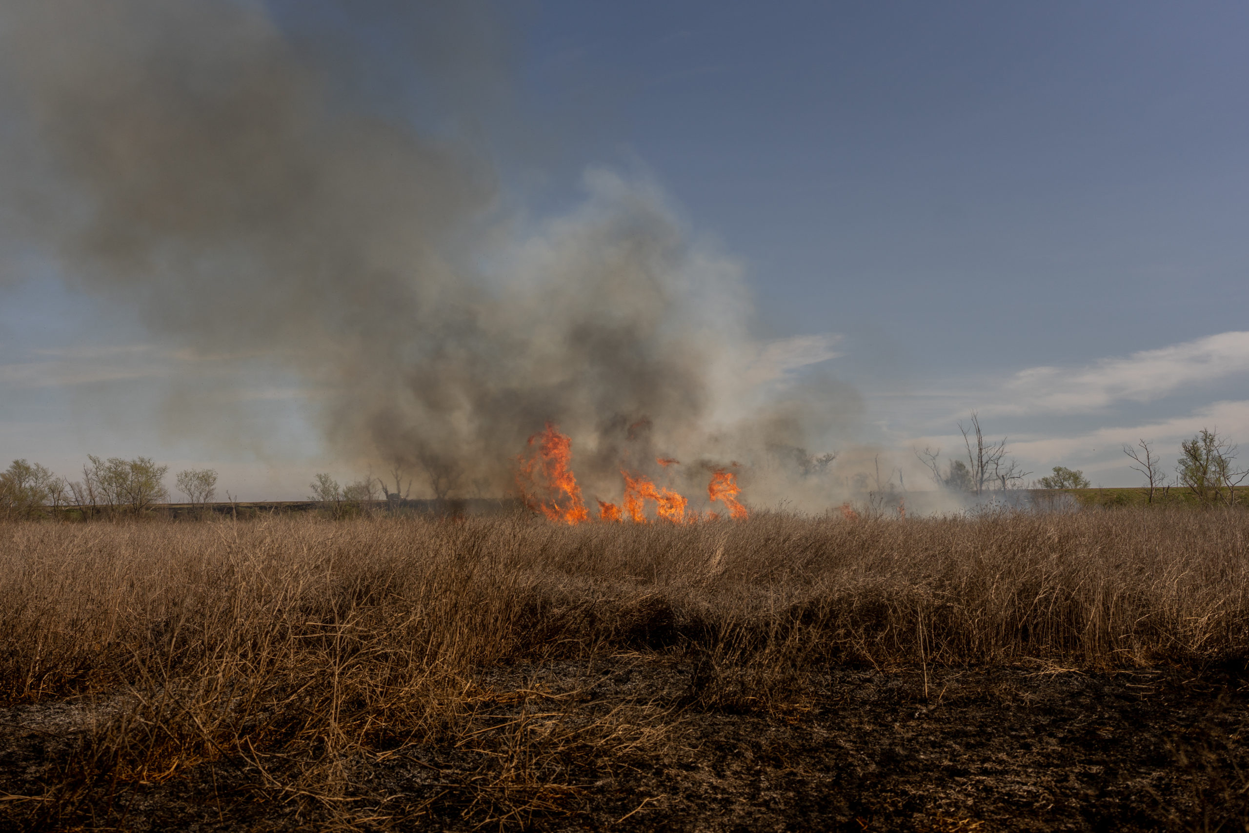 Wildfires Devastate Wetlands Of The Parana Delta
