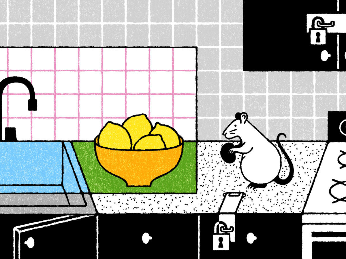 Rax King - The Conversationalist