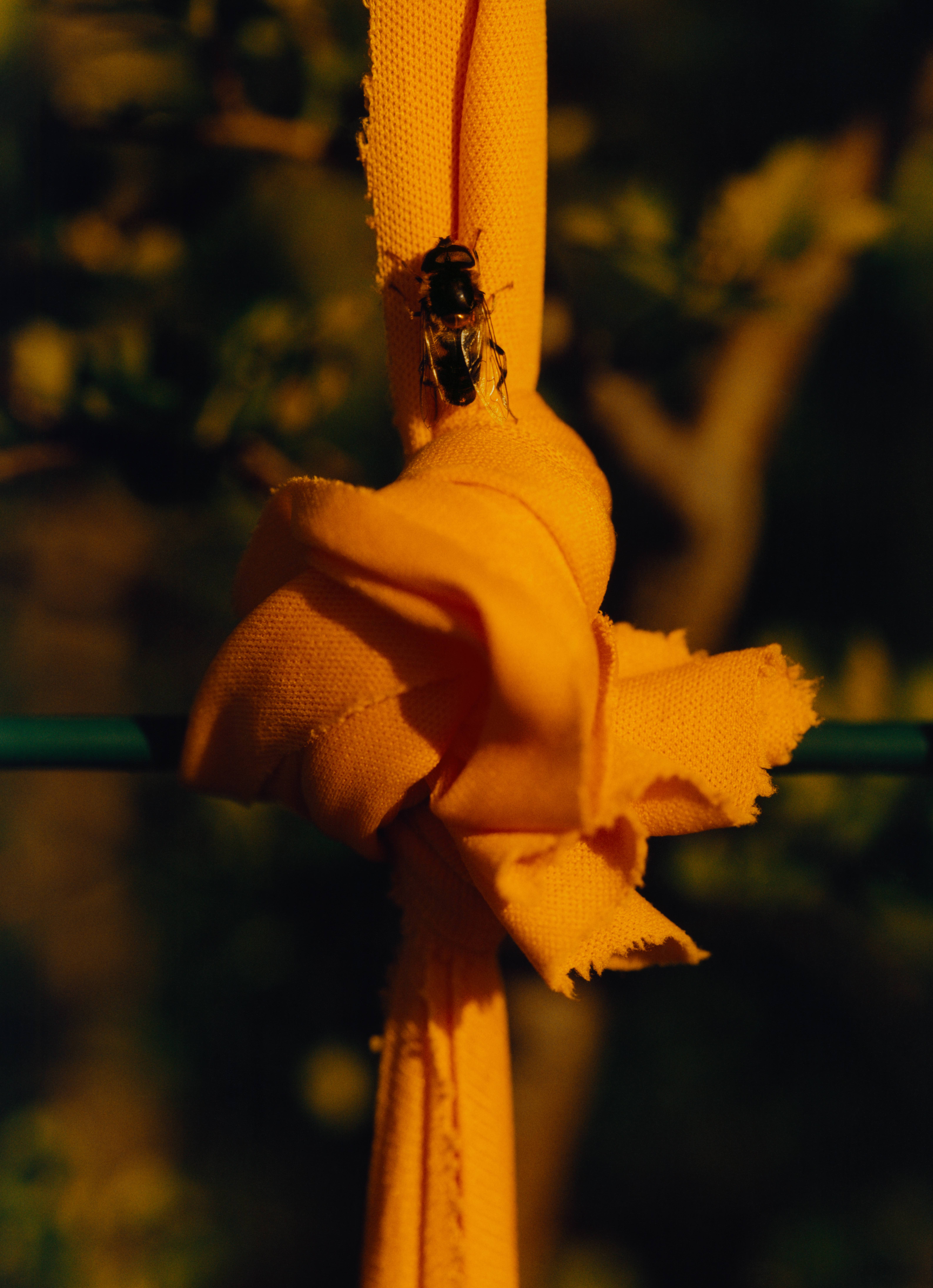 A close-up photograph of a bee that has landed on a bit of yellow fabric that has been knotted on a fence.