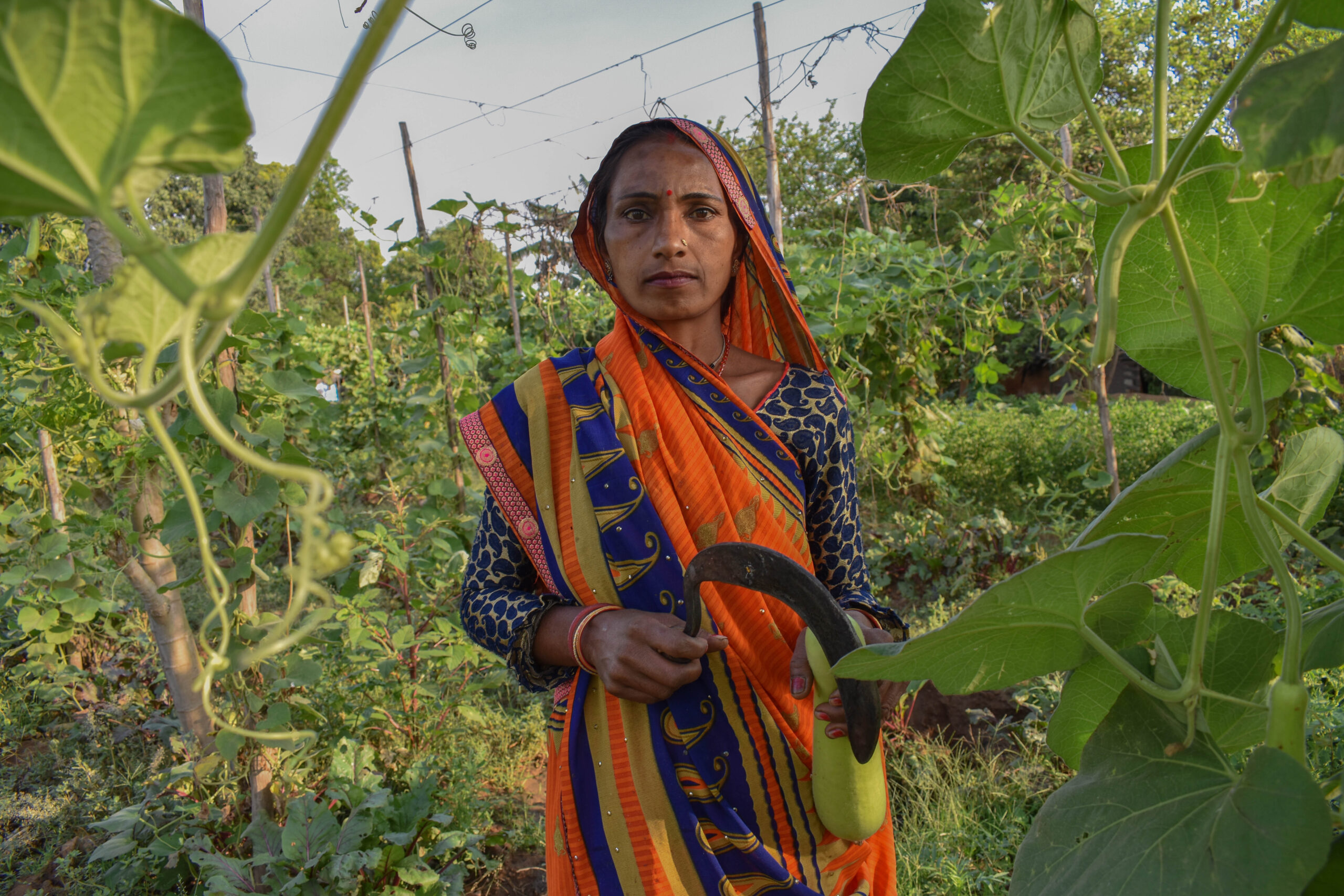 A woman in a colorful patterned sari, rich with bright oranges and blues and golds. She is holding vegetables she has grown on her farm, and is surrounded by bright greenery.