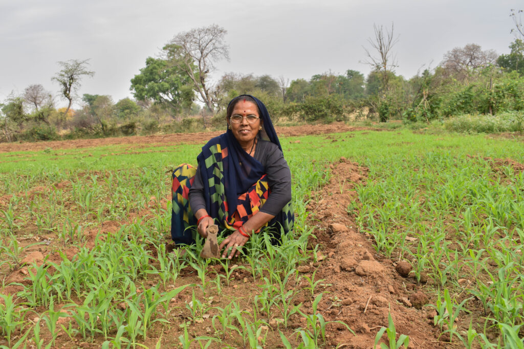 Deva, an older Indian woman, is crouched down in a field of sprouting green leaves. She is wearing a navy blue sari with a colorful geometric pattern of greens and yellows and oranges; round glasses; and red bangles on her wrists.