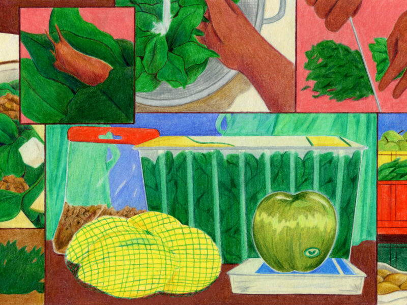 An illustration with different panels of a salad being prepared. On the left, a panel with a plate of spinach salad with walnuts and goat cheese on a placemat next to a fork, over a panel with spinach growing in the wild. Across the top, a panel with a close-up of spinach with a snail on it; a panel where spinach is being rinsed in a colander; and a panel where spinach is being chopped. On the bottom, a large panel in the center with pre-packed groceries: a giant plastic tub of spinach, a bag of lemons, an apple with a sticker on it, a bag of walnuts, a package of feta. On the bottom right, organic vegetables in plastic crates and piles.