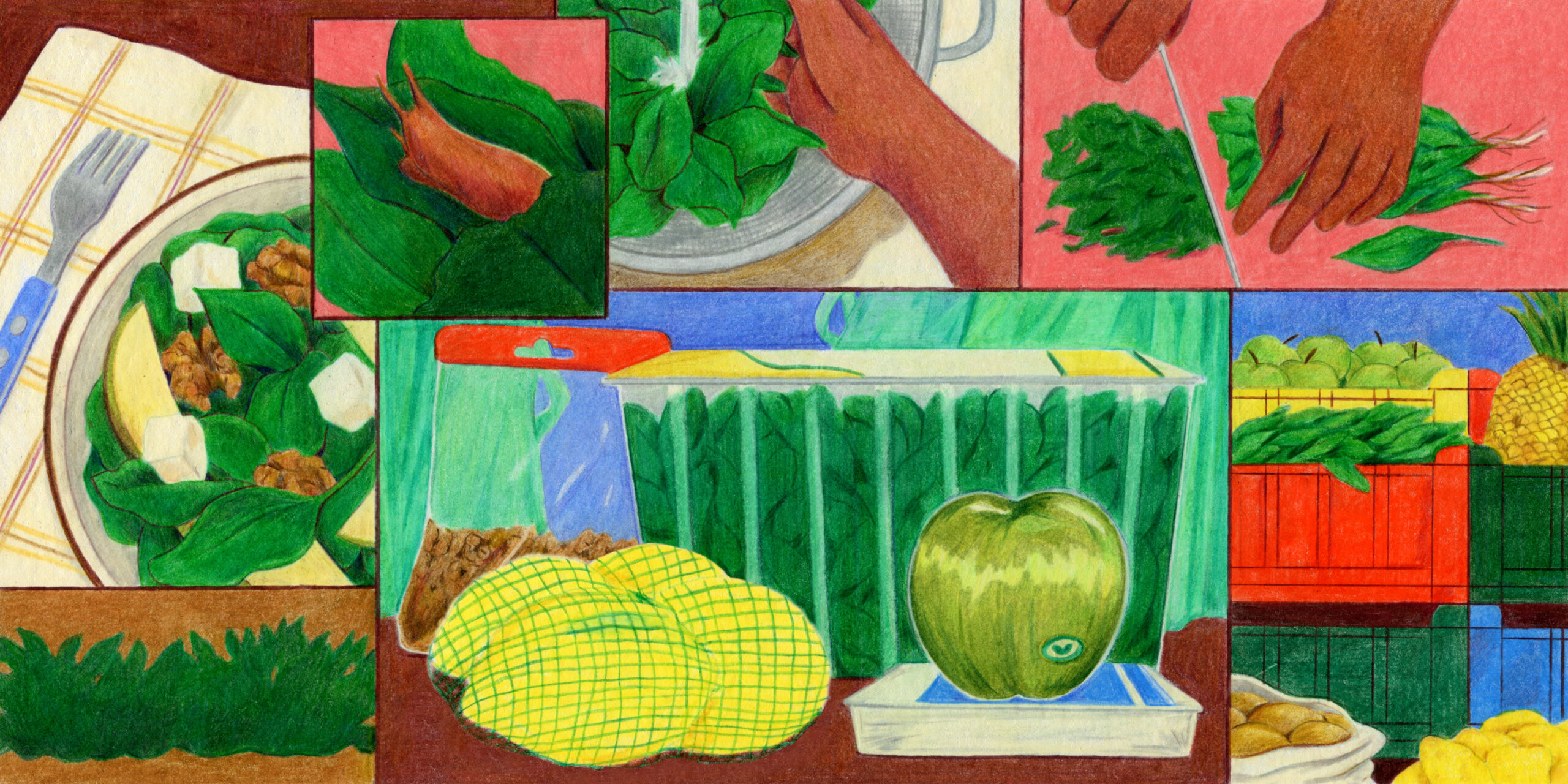 An illustration with different panels of a salad being prepared. On the left, a panel with a plate of spinach salad with walnuts and goat cheese on a placemat next to a fork, over a panel with spinach growing in the wild. Across the top, a panel with a close-up of spinach with a snail on it; a panel where spinach is being rinsed in a colander; and a panel where spinach is being chopped. On the bottom, a large panel in the center with pre-packed groceries: a giant plastic tub of spinach, a bag of lemons, an apple with a sticker on it, a bag of walnuts, a package of feta. On the bottom right, organic vegetables in plastic crates and piles.