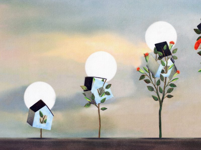 An illustration of a house as a flowering tree gradually grows within it, splitting it open with flowers.