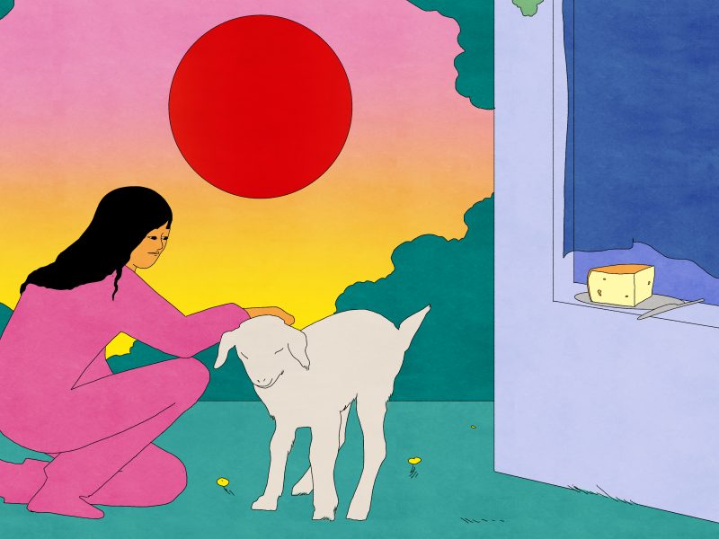 An illustration of a girl petting a goat, with a hunk of cheese sitting in a window behind them.
