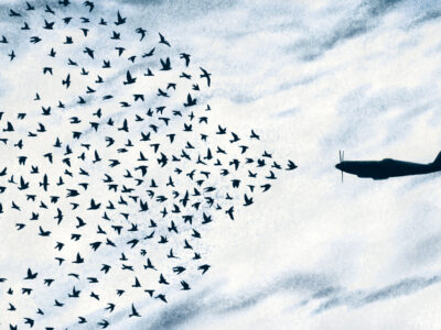 An illustration of a flock of birds in formation to form a bigger bird, facing off against a fighter jet.