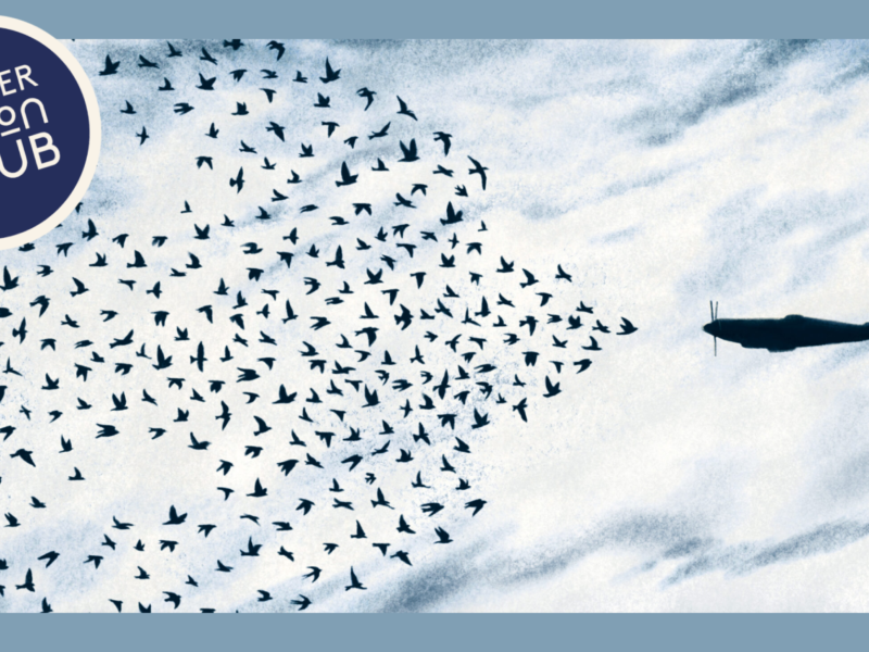 An illustration of a flock of birds in the shape of a bigger bird, facing off against a fighter jet.