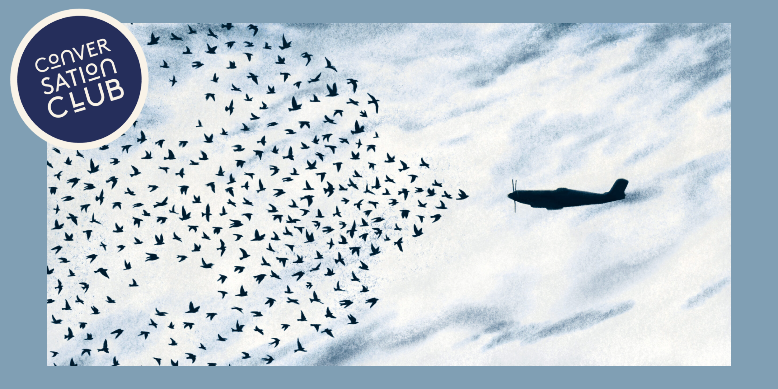 An illustration of a flock of birds in the shape of a bigger bird, facing off against a fighter jet.