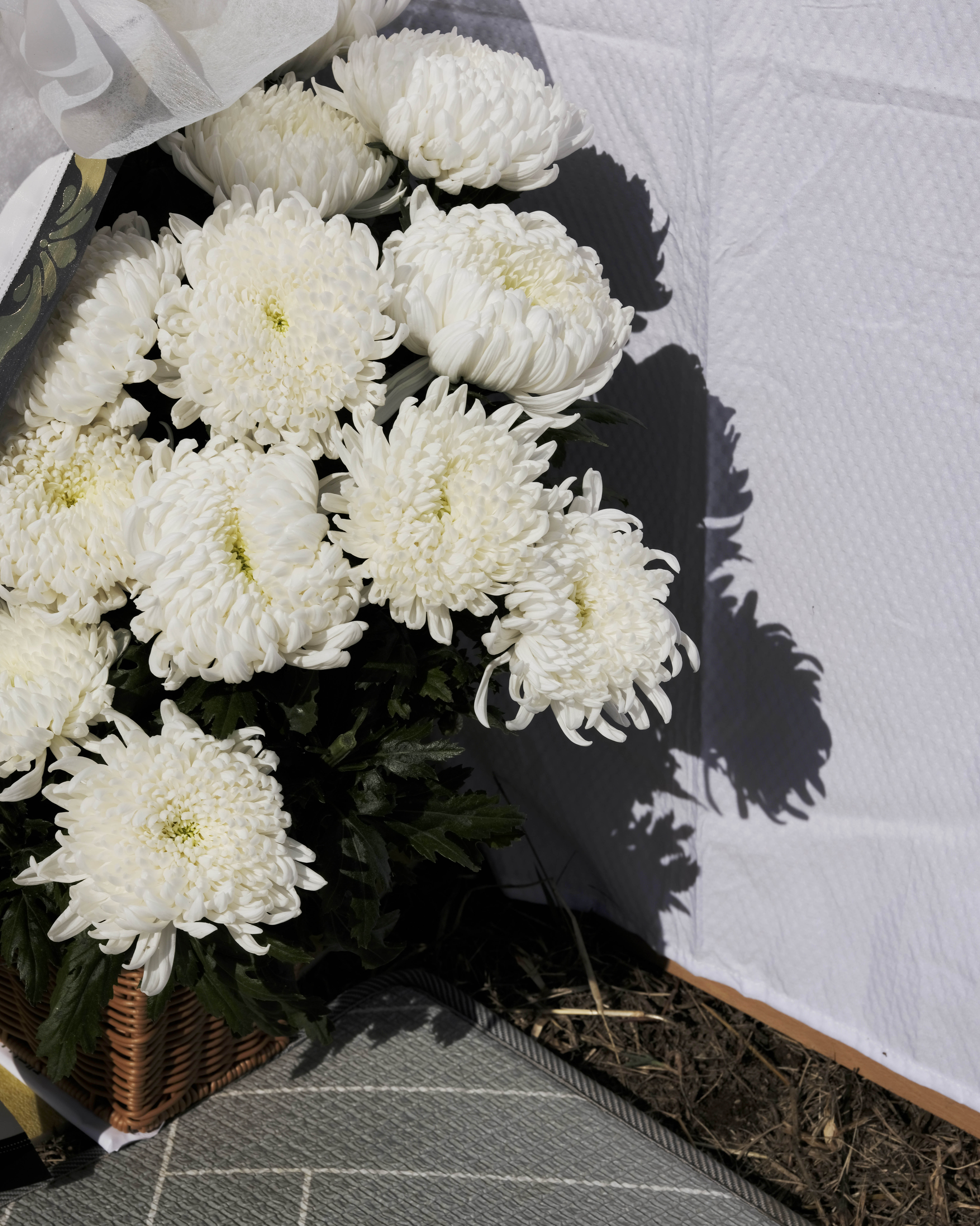 A close up photo of a bouquet of chrysanthemums.